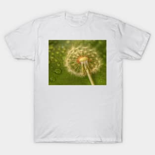 Beauty By The Footpath T-Shirt